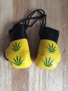 Leaf mini hanging boxing gloves