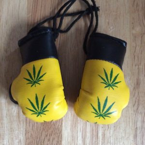 Leaf mini hanging boxing gloves