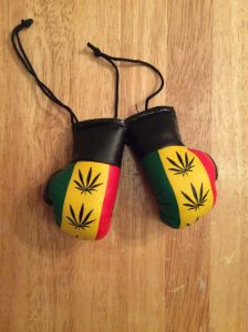 Rasta stripe Leaf mini boxing gloves